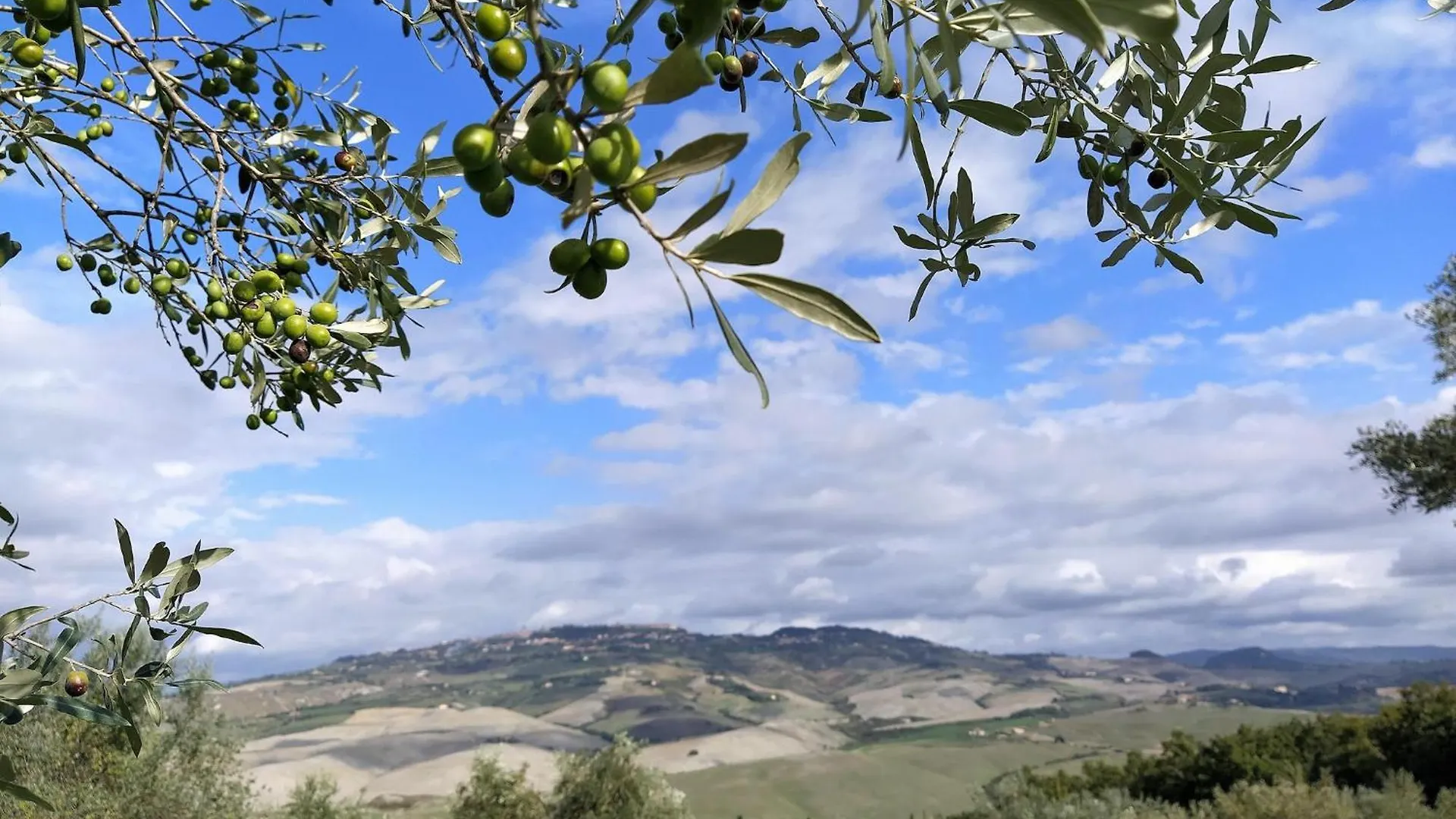 Holiday home Belvilla By Oyo Cardellino Volterra