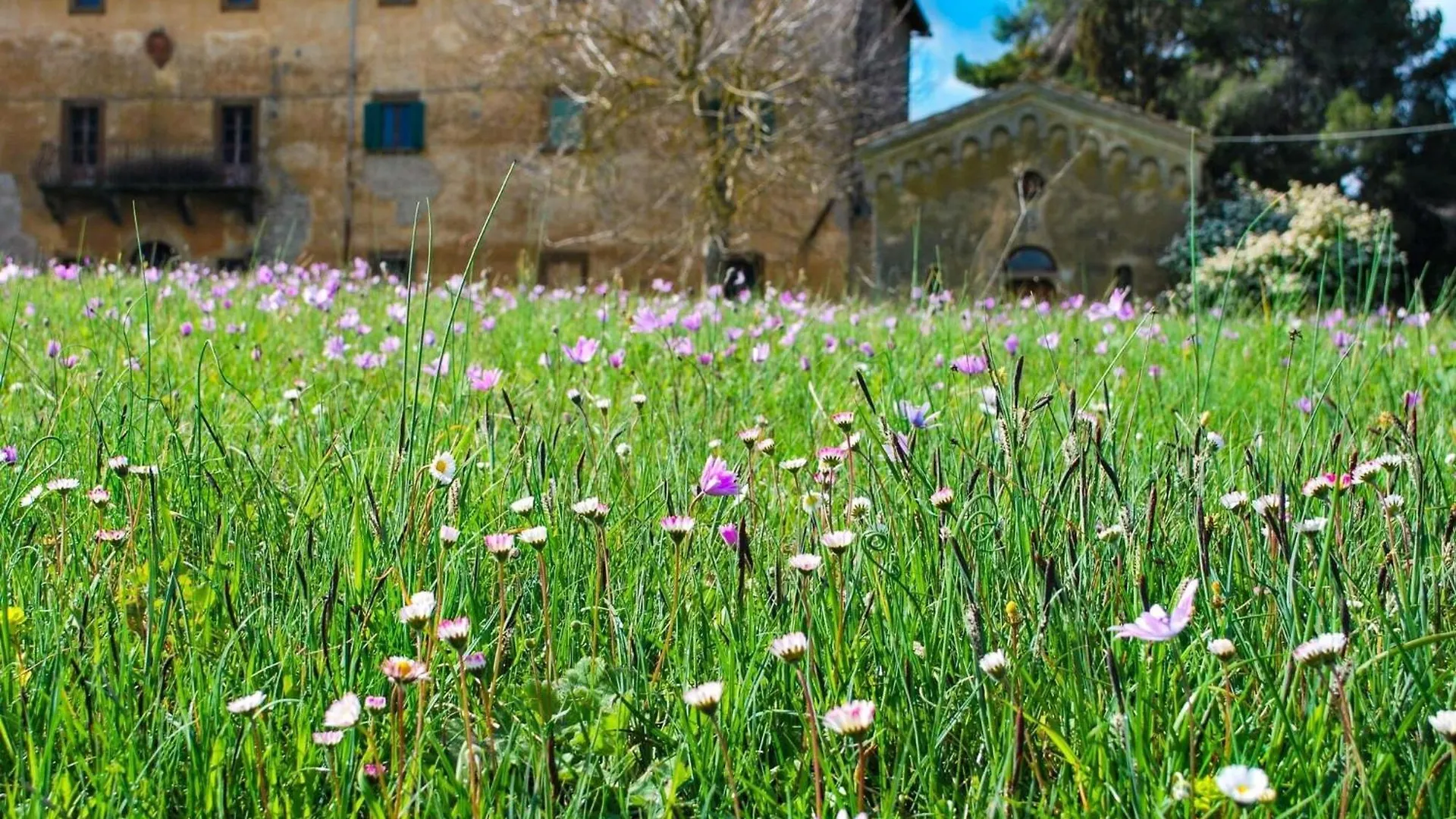 Holiday home Belvilla By Oyo Cardellino Volterra Italy